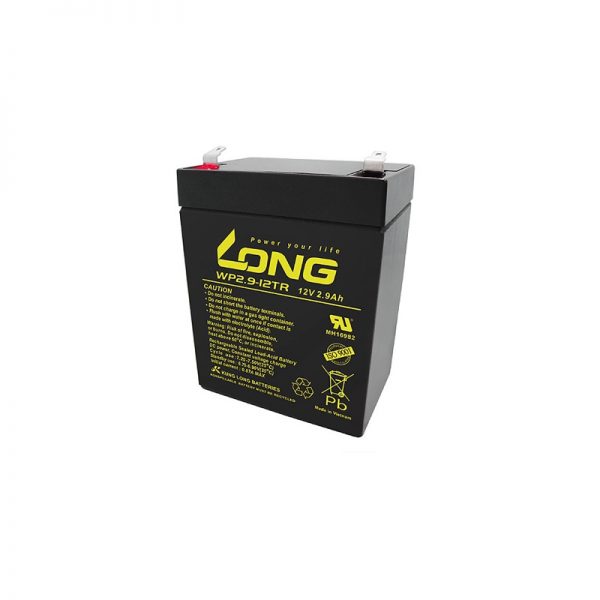 Long WP2.9-12TR, 2.9Ah, 12V Rechargeable Sealed Lead Acid Battery(Pack of 2)