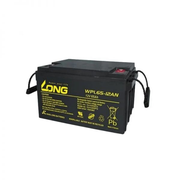 Long WPL65-12AN, 65Ah-12V Rechargeable Sealed Lead Acid Battery