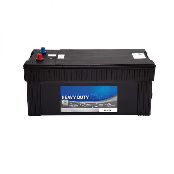 Euro Power N200MF 12V 200Ah Battery