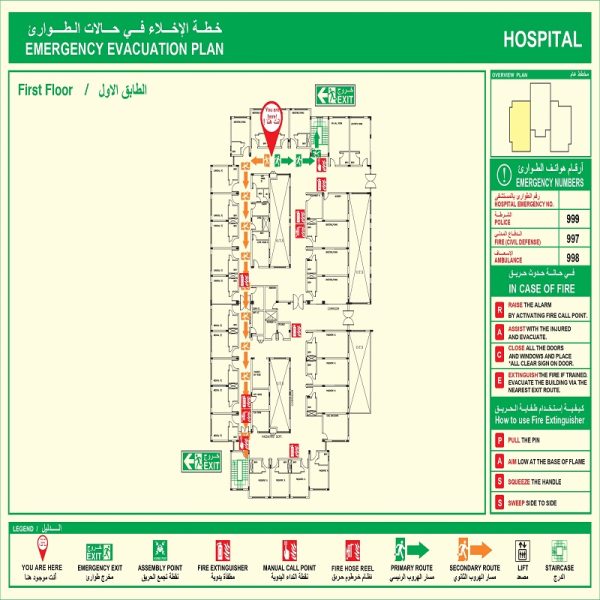 Fire Evacuation Plan A3 Size Glow-In-The-Dark – Green Color