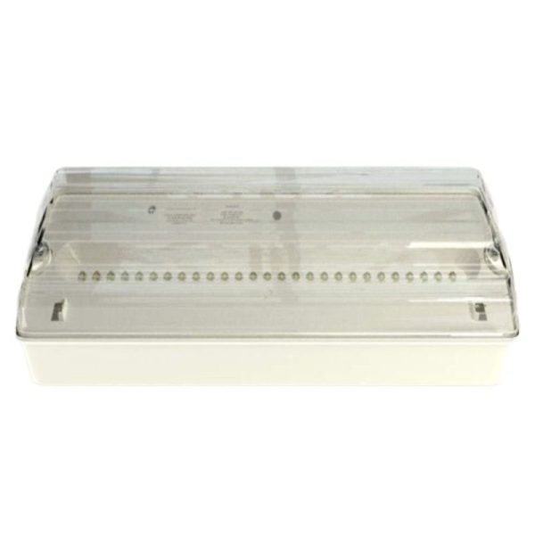 Emerge Lux - Maintained/Non-Maintained Emergency Light, Surface Mounted - BY-Z2145U-T